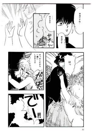 Minn Ai no Sei ne Page #28