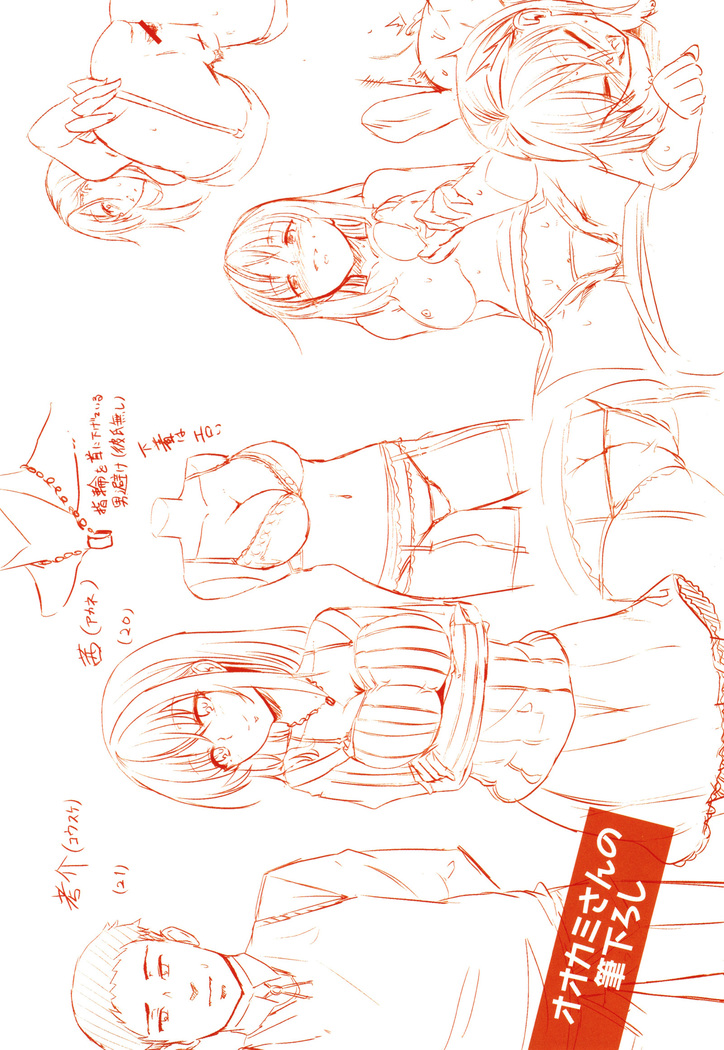 H na Jochi wa Okirai desu ka