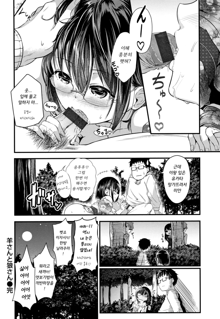 H na Jochi wa Okirai desu ka