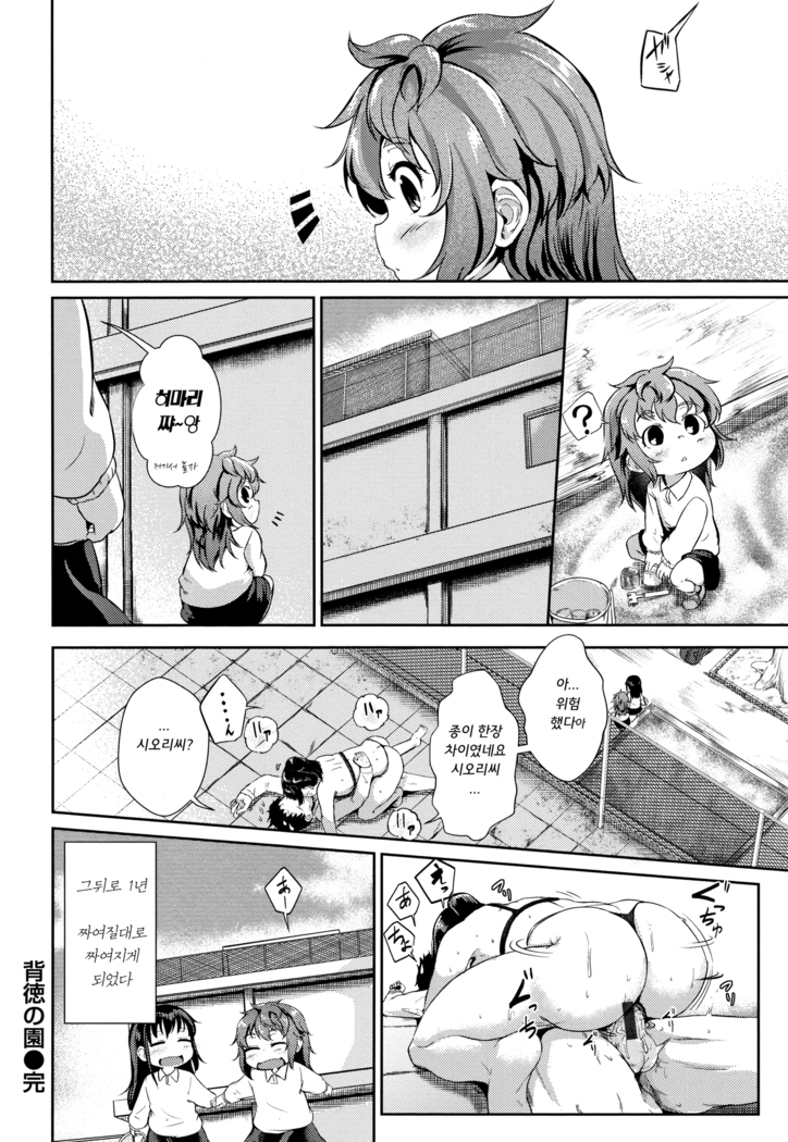 H na Jochi wa Okirai desu ka