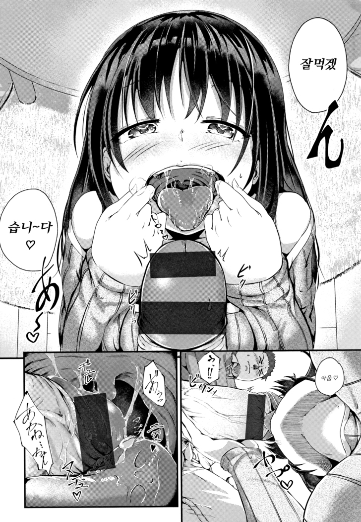 H na Jochi wa Okirai desu ka