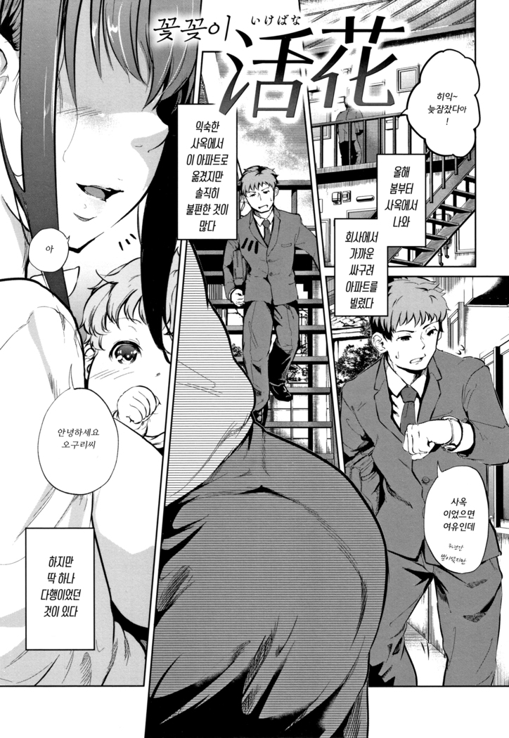 H na Jochi wa Okirai desu ka