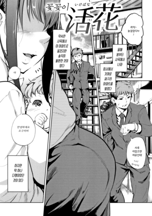 H na Jochi wa Okirai desu ka Page #24