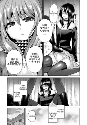Domestic Dog Page #15