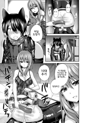 Domestic Dog Page #19