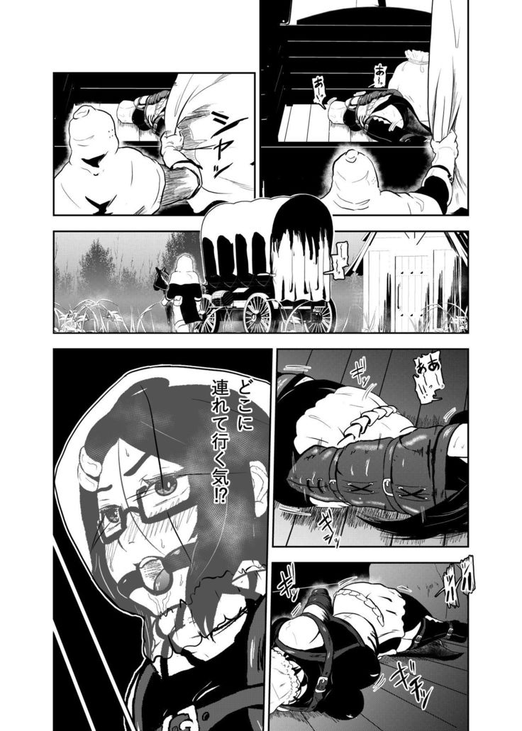 Ero Goumon Nisshi