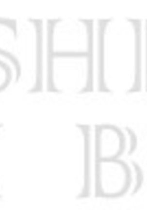 BODYSHOP TERADACHO Page #238