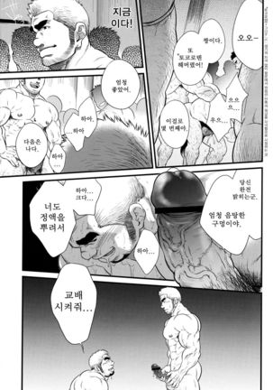 Image 4389692