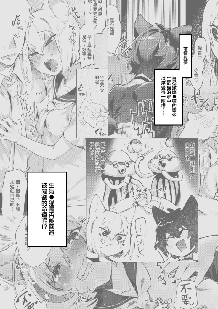 UR Neko-chans Life | UR小猫咪们的日常生活