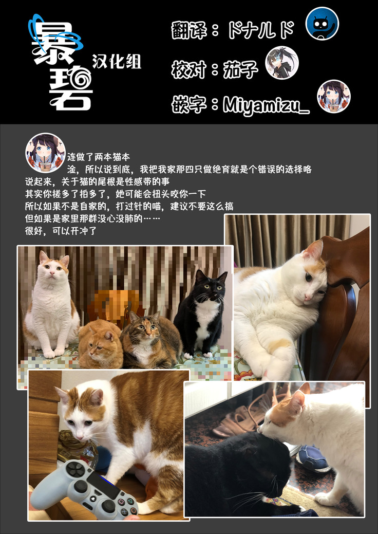 UR Neko-chans Life | UR小猫咪们的日常生活