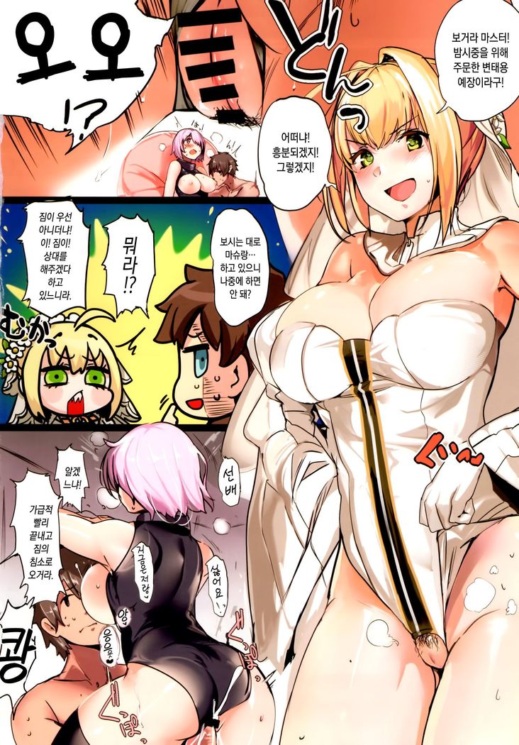 Nero no Teisou Kannen   네로의 정조관념 (decensored)