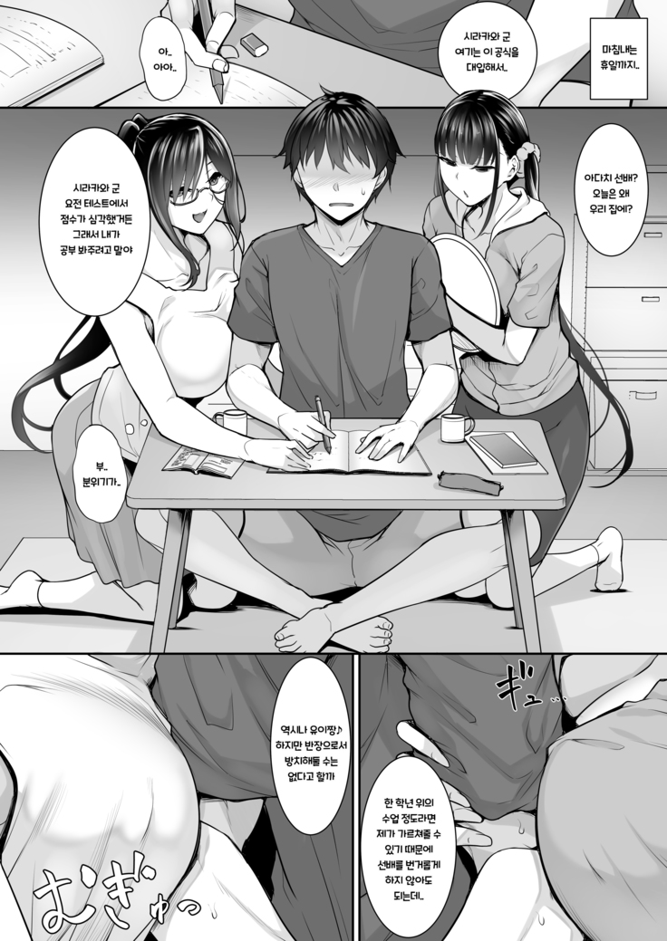 SISUANA - sister hole 4