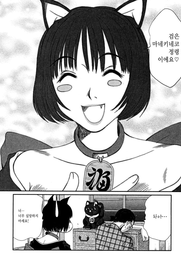 Kateinai Reinai Shoukougun