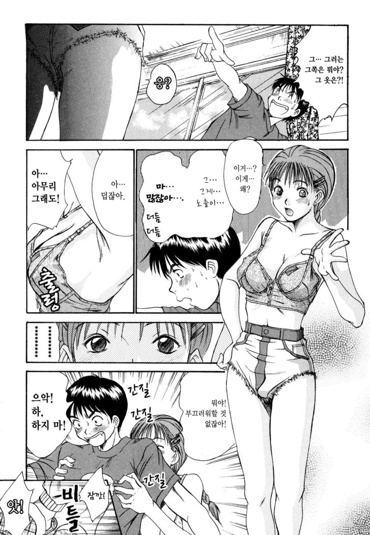Kateinai Reinai Shoukougun