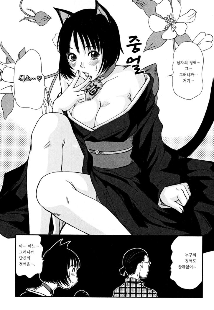 Kateinai Reinai Shoukougun