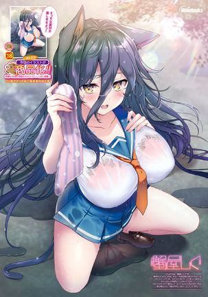 月刊うりぼうざっか店 2021年5月28日頃発行号 Page #14
