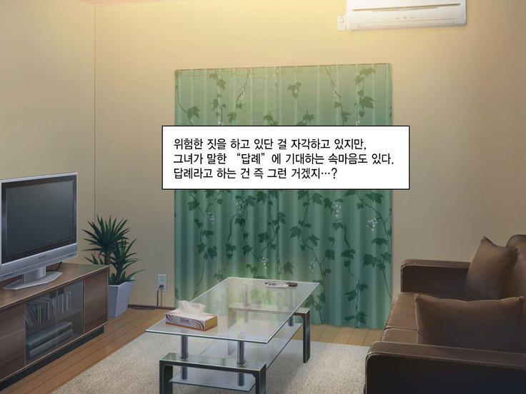 Namaiki Iede Musume, Nakadashi HaramaSex Shihoudai desu.
