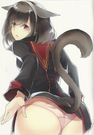 Image 4950852