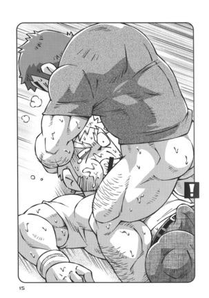 STEPHEN STILLS Joseph no Stephen Kaizou Keikaku Monogatari Page #13