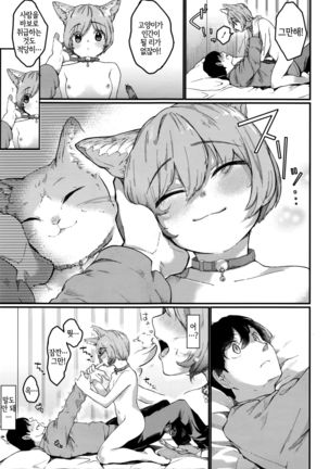 Night with Nyanko