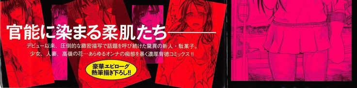 Junketsu no Owaru Hibi