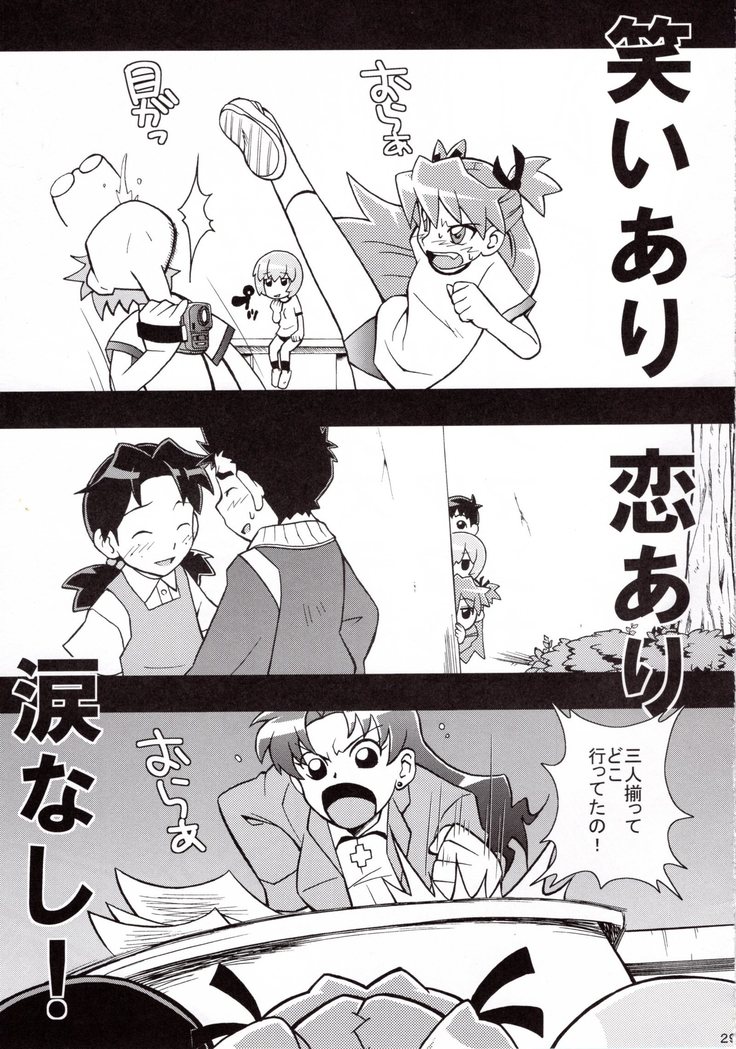 Ikari Shinji Ikusei Keikaku