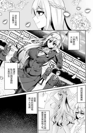 Toaru Reijou no Bunretsu Nichijou[Chinese]【不可视汉化】 - Page 3