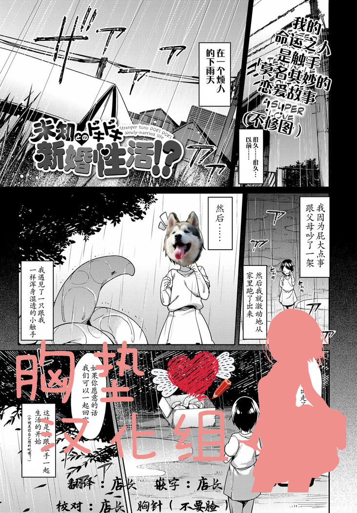 Stranger tono DOKI DOKI Newly-married life!? （Chinese）