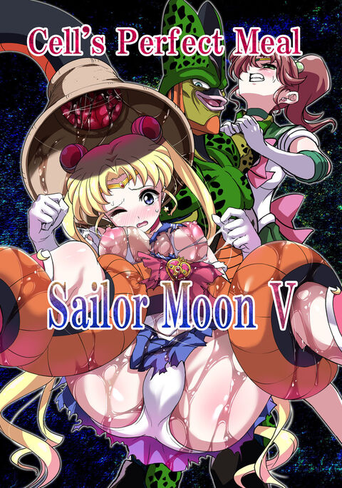 Sailor Moon V