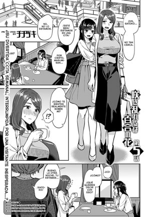 Saki Midareru wa Yuri no Hana Ch. 5 | Las flores de lirio florecen confundidas 5