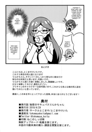 Himitsu no Succubus Rinka-chan - Page 18