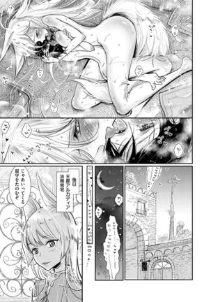 半獣半人のケモミミお姉さんが人間のショタ奴隷を味見 - Page 17