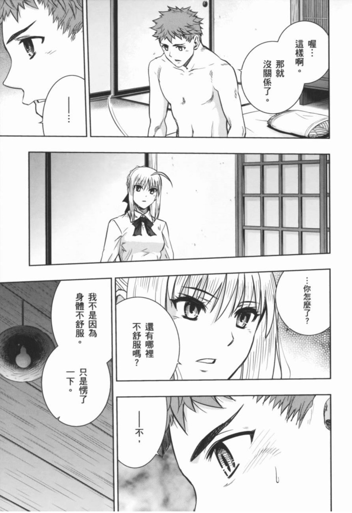 fate R18一夜之夢