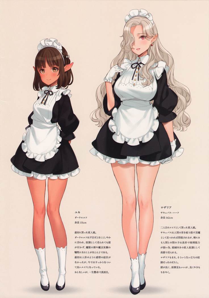How To Tame Demi-Human Maids