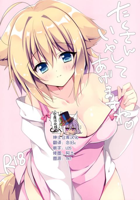 LOOPTHELOOP! ] Takusan iya shite agemasu ne.