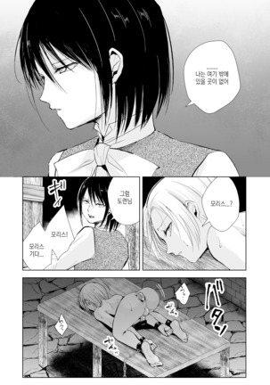 Hiiro no Shiro Page #41