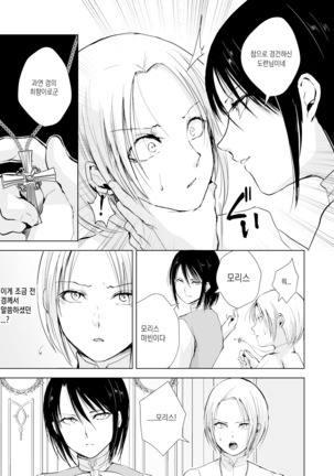 Hiiro no Shiro - Page 11