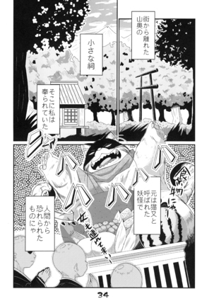 淫獣戯画 乙 Page #33