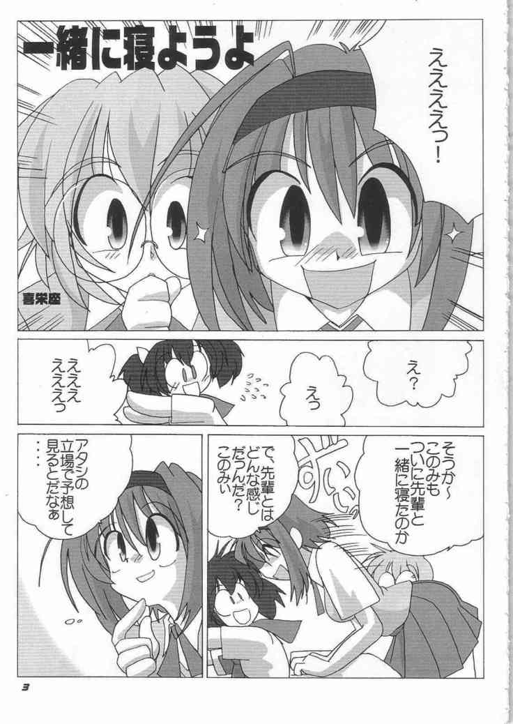 N-Plus #11