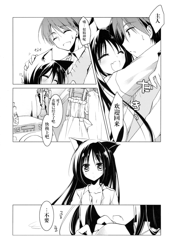 Imitation Kitten 2