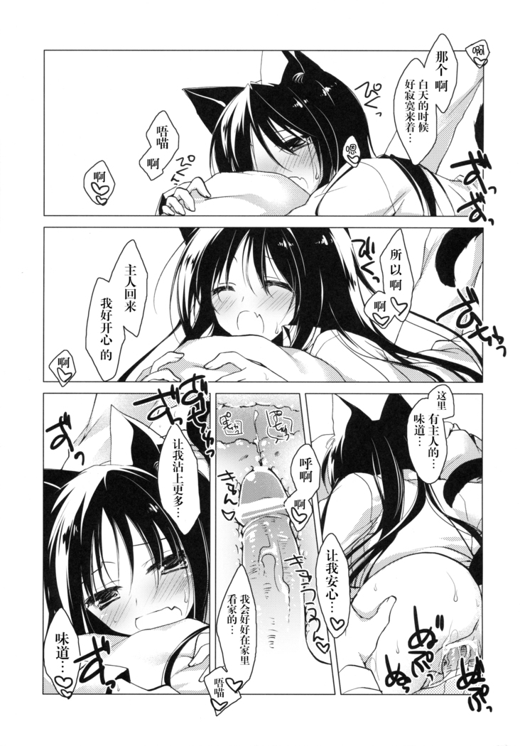 Imitation Kitten 2