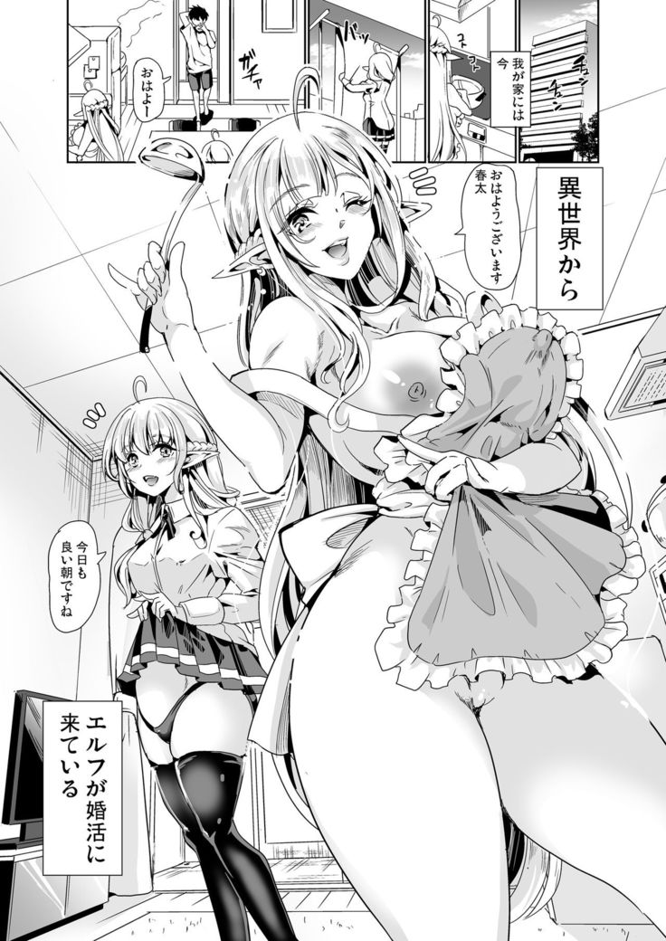 Sukebe Elf Shimai, Konkatsu ni Kuru ~Harem Lesson~