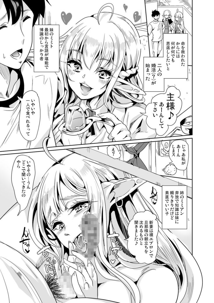 Sukebe Elf Shimai, Konkatsu ni Kuru ~Harem Lesson~