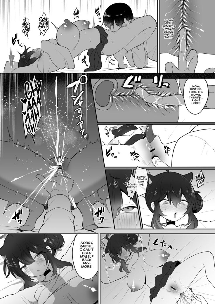 Hatachi ni Natte mo Chiisai Mama no Kaede o Onaho Mitai ni Hamemakuru Love Love Ecchi Hon