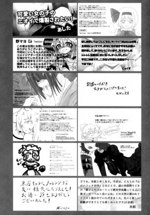 Touhou Nioi Feti Goudoushi ~Shuuki Reitaisai~Yuuga ni Nioe, Otome no Nioi -Border of smell- - Page 111