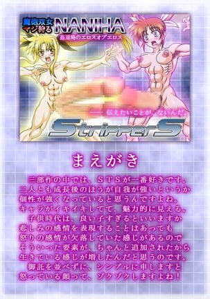 Mahou Soujo Majikaru NANIHA Stripper S Kaninkyoku no Eros of Eros - Page 3