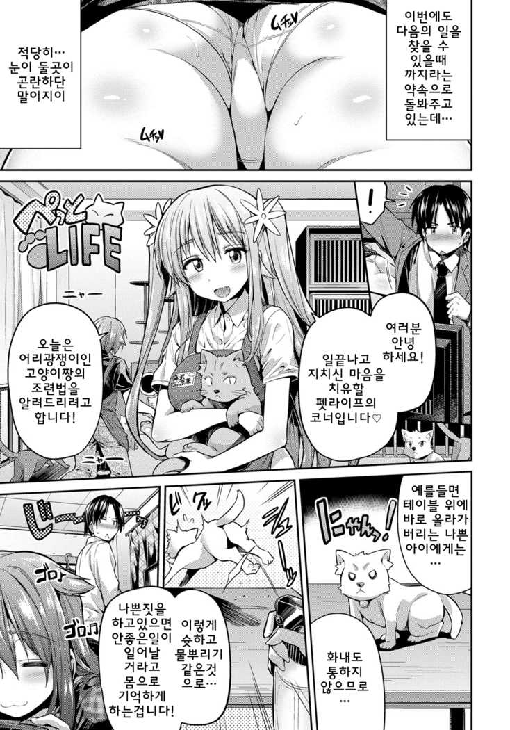 Pet na Ane no Shitsukekata