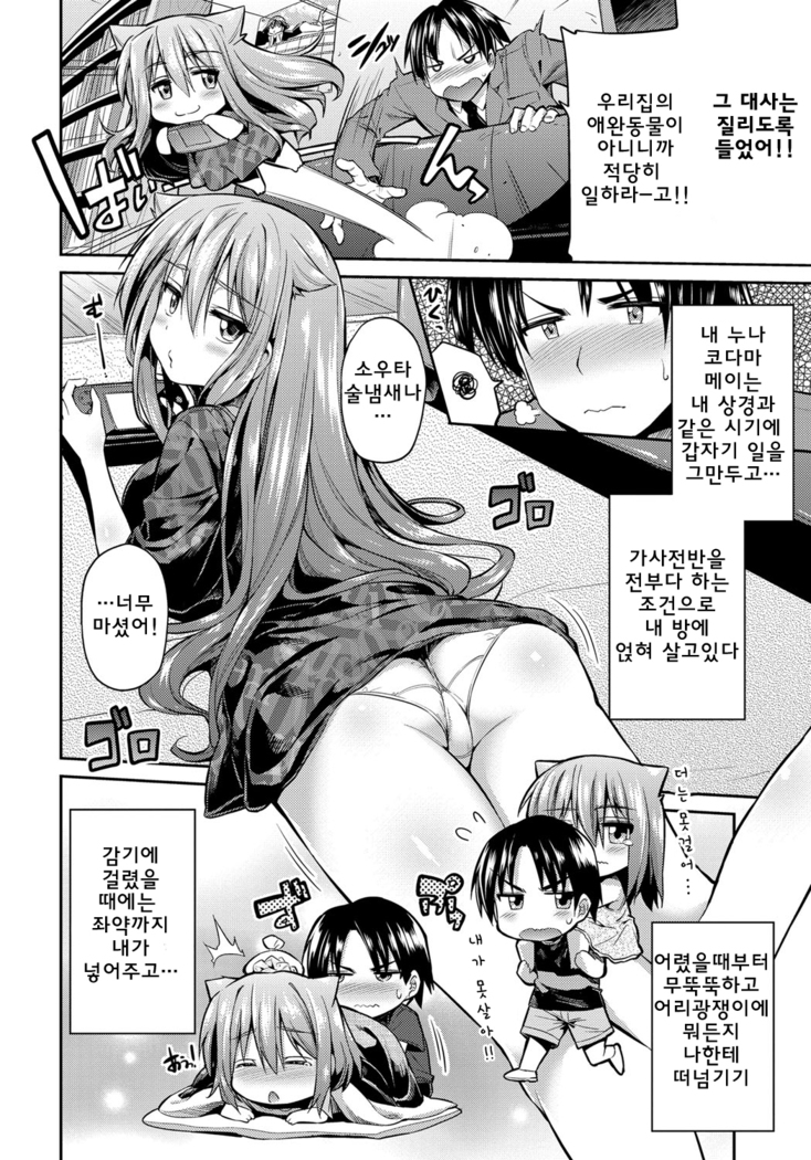 Pet na Ane no Shitsukekata