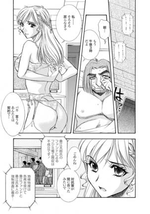 Tsugi Seirei Daisanshou 「Seiteki Shukujo」 - Page 19