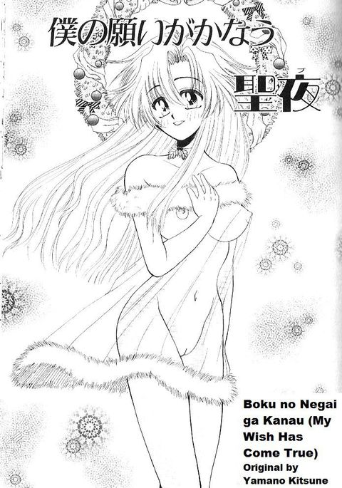 Boku No Negai ga Kanau [My Wish Has come True, rewrite